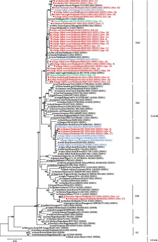 Details are in the caption following the image