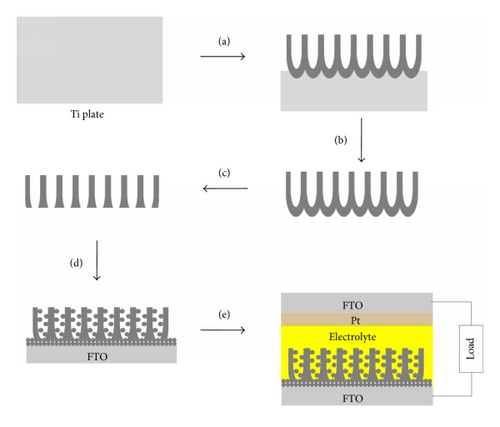 Details are in the caption following the image Details are in the caption following the image