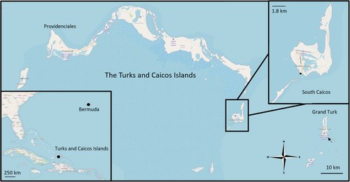 Details are in the caption following the image