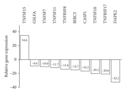Details are in the caption following the image
