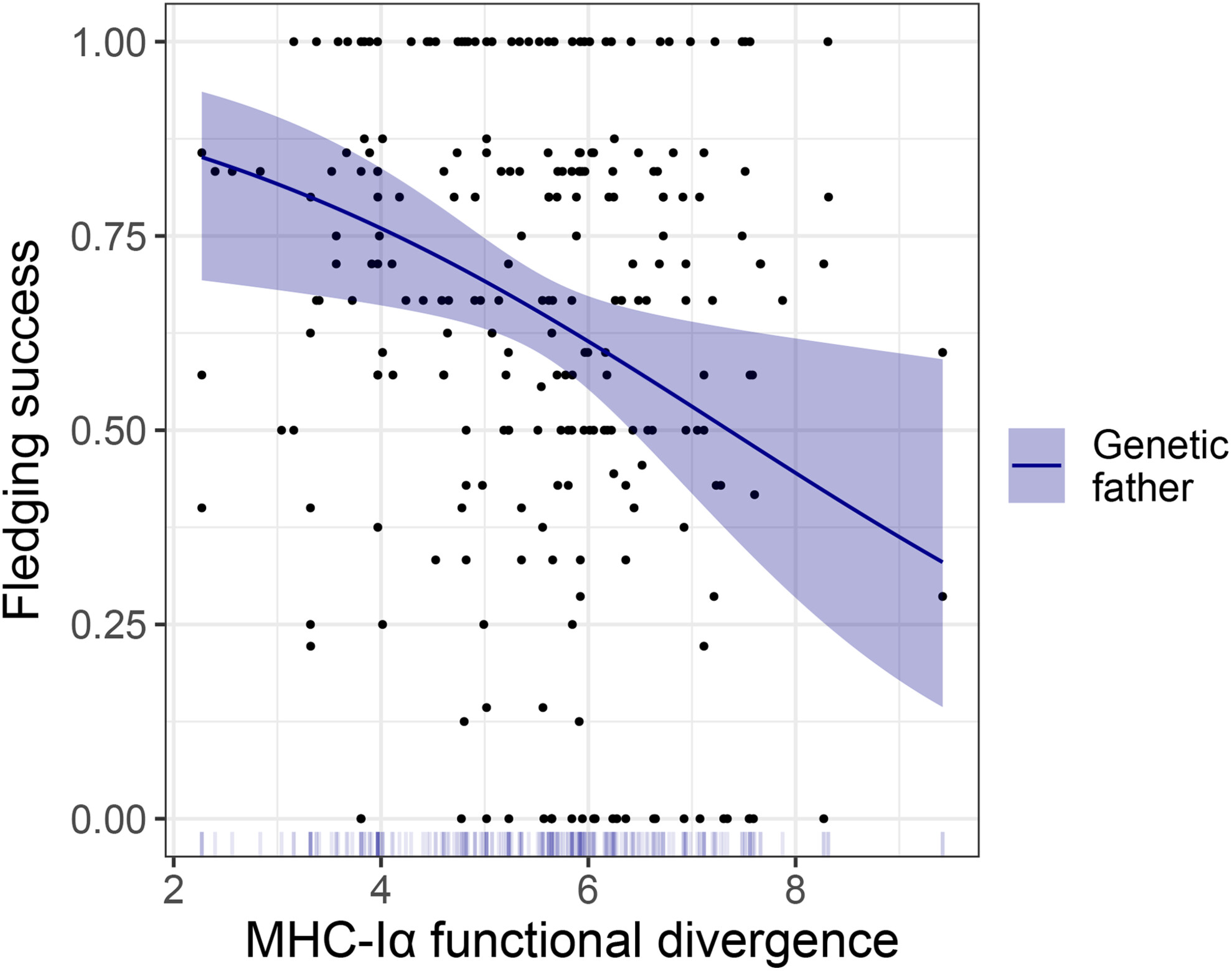 Limited associations between MHC diversity and reproductive success in a bird species with biparental care