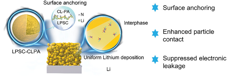 Cross-Linked Polyamide-Integrated Argyrodite Li6PS5Cl for All-Solid-State Lithium Metal Batteries