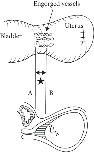 Details are in the caption following the image Details are in the caption following the image