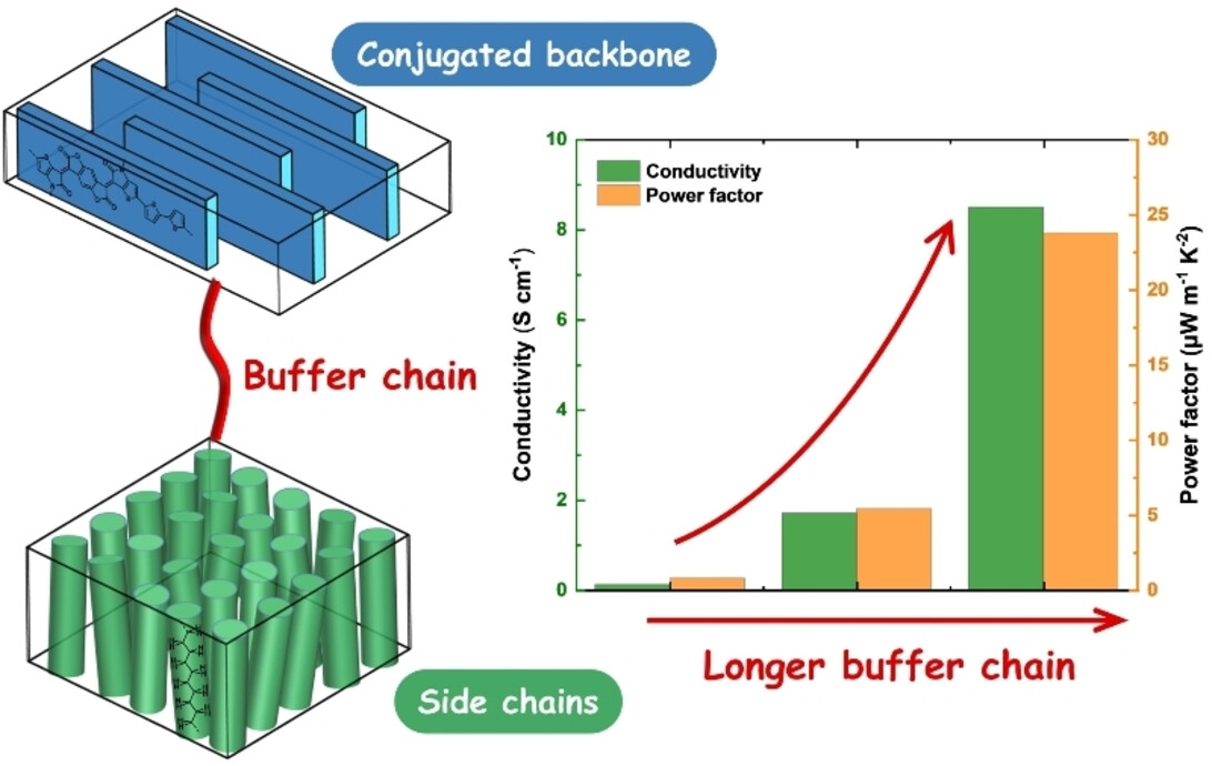 Buffer Chain Model for Understanding Crystallization Competition in Conjugated Polymers