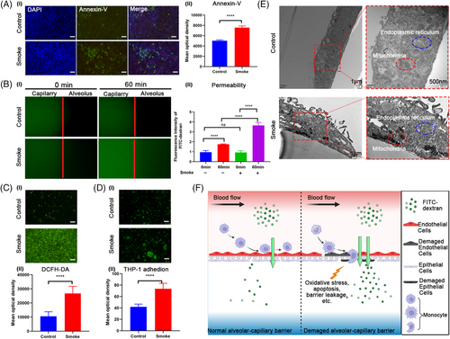 Details are in the caption following the image Details are in the caption following the image