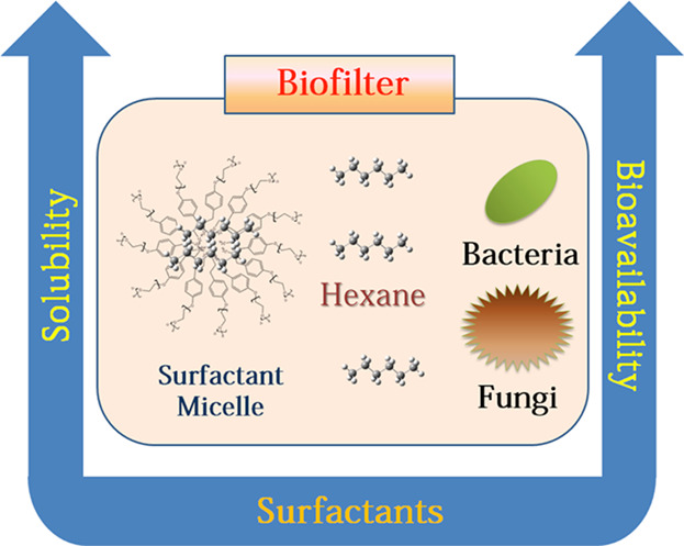 Influence of Nonionic Surfactants on Fungal and Bacterial Degradation of Hexane