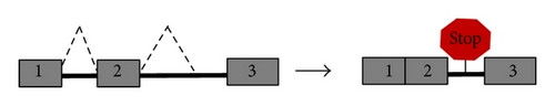 Details are in the caption following the image