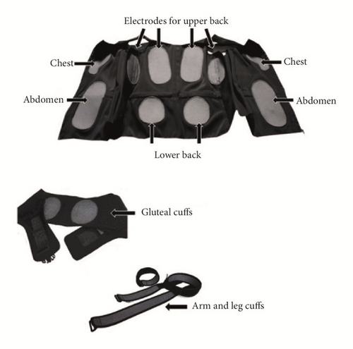Details are in the caption following the image Details are in the caption following the image