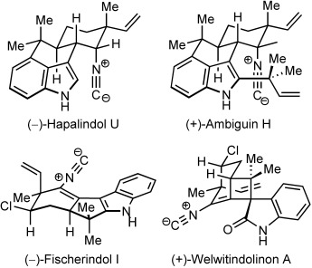Schutzgruppenfreie Totalsynthese komplexer cyanobakterieller Alkaloide