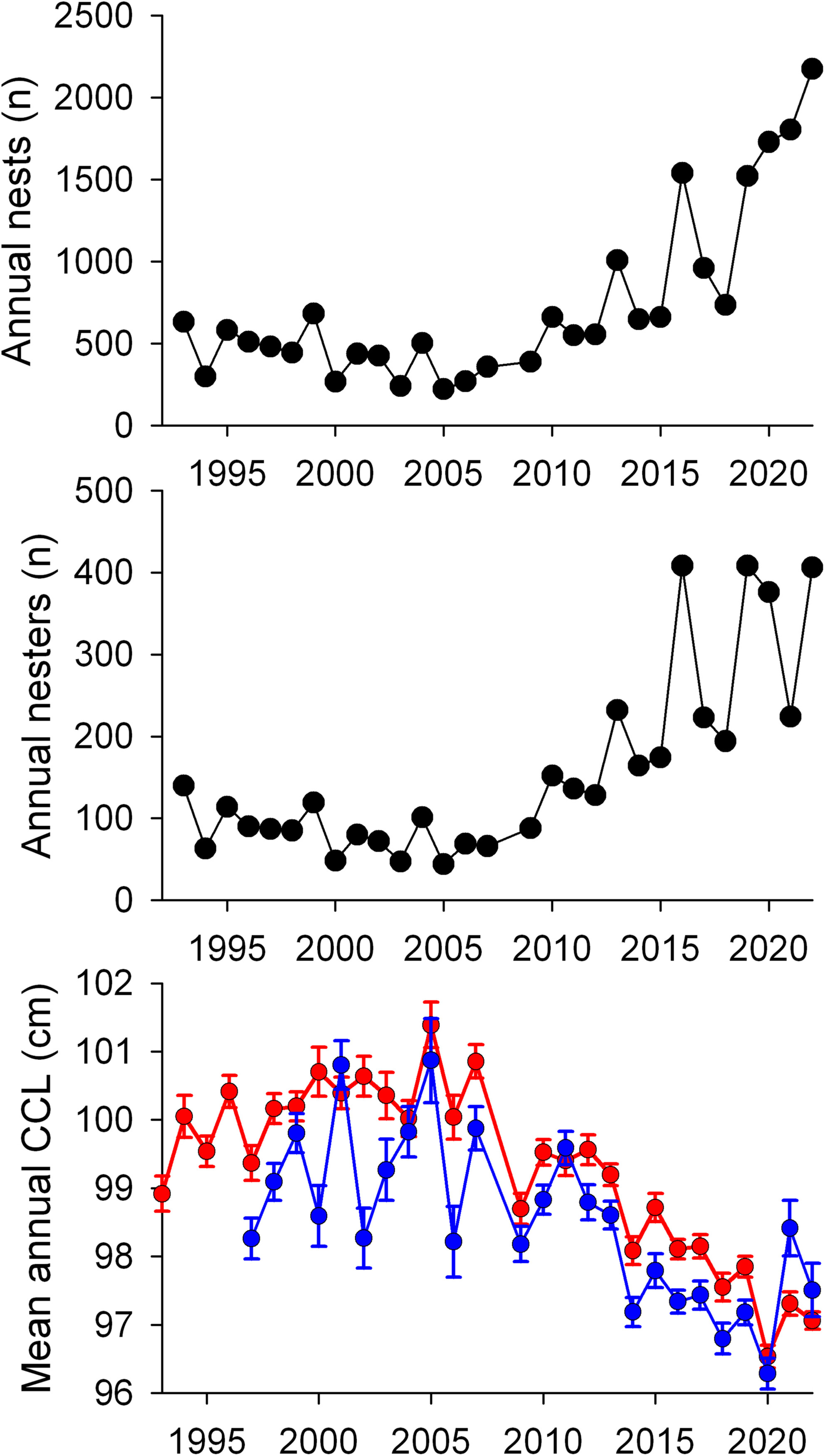 Global Decline in the Size of Sea Turtles