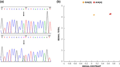 Prevalence of nine genetic defects in Chinese Holstein cattle