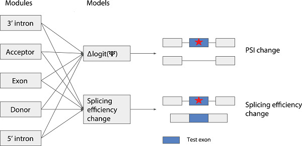 CAGI 5 splicing challenge: Improved exon skipping and intron retention predictions with MMSplice