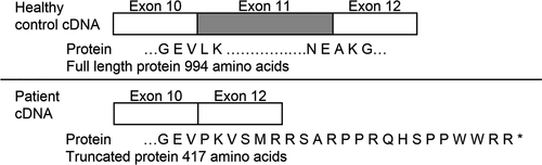 Details are in the caption following the image