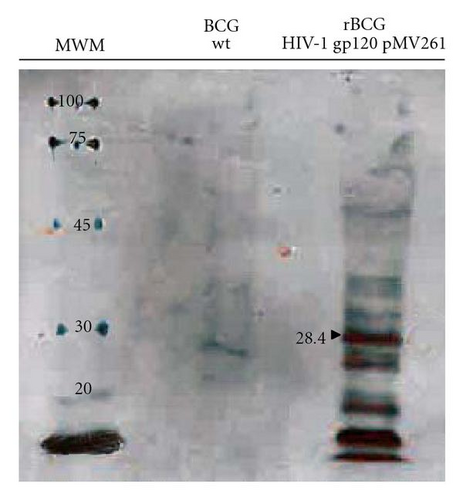 Details are in the caption following the image