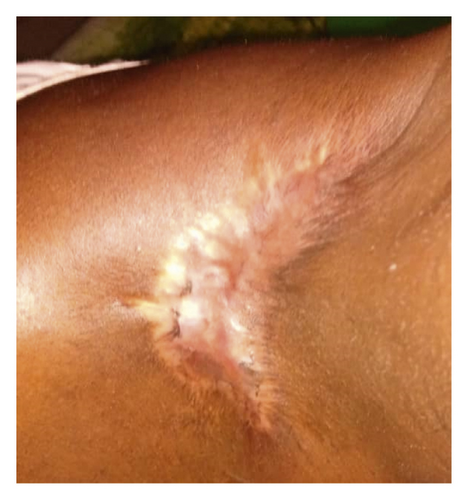 Details are in the caption following the image Details are in the caption following the image