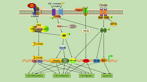 Details are in the caption following the image Details are in the caption following the image