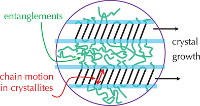 Recent Progress in Understanding Polymer Crystallization