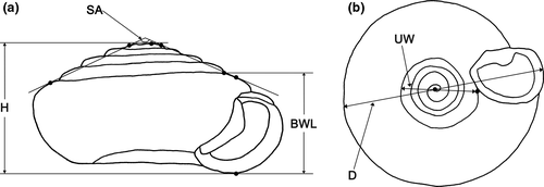 Details are in the caption following the image