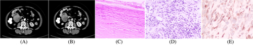 Details are in the caption following the image Details are in the caption following the image