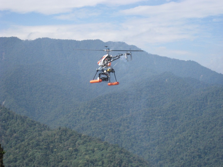 Identifying tropical Ecuadorian Andean trees from inter-crown pixel distributions in hyperspatial aerial imagery