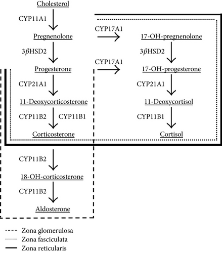 Details are in the caption following the image