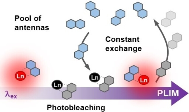 Exchangeable Self-Assembled Lanthanide Antennas for PLIM Microscopy