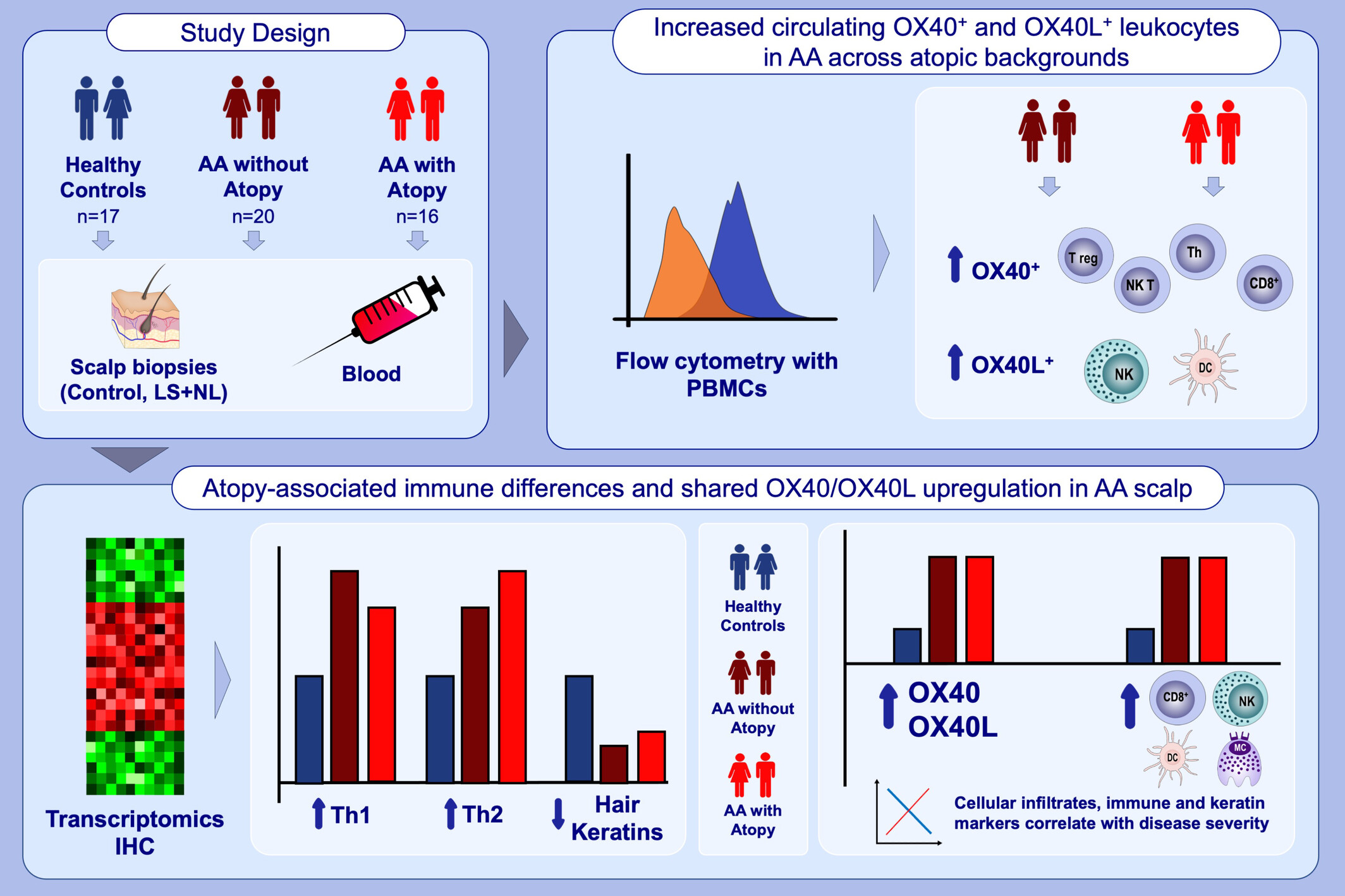 Alopecia areata exhibits cutaneous and systemic OX40 activation across atopic backgrounds