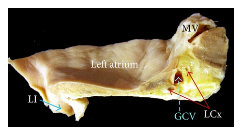 Details are in the caption following the image