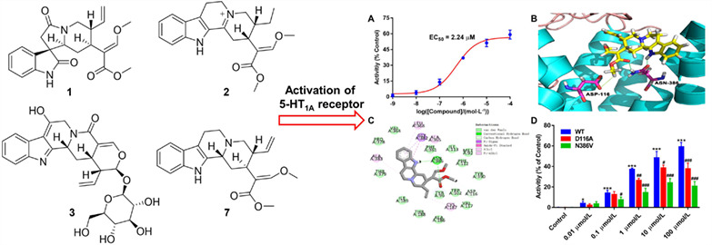 Uncarialins J—M from Uncaria rhynchophylla and Their Anti-depression Mechanism in Unpredictable Chronic Mild Stress-Induced Mice via Activating 5-HT1A Receptor