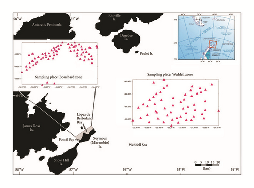 Details are in the caption following the image Details are in the caption following the image