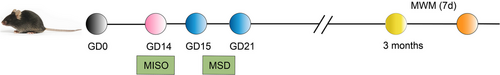 Details are in the caption following the image Details are in the caption following the image