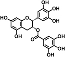 inline image