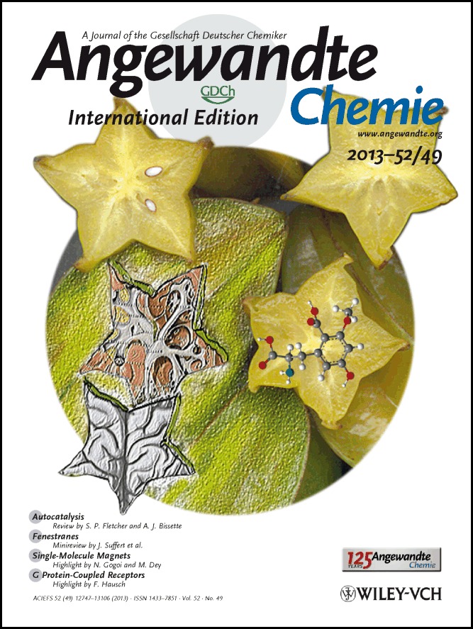 Cover Picture: Elucidating the Neurotoxicity of the Star Fruit (Angew. Chem. Int. Ed. 49/2013)