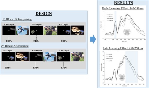 When neutral turns significant: brain dynamics of rapidly formed associations between neutral stimuli and emotional contexts