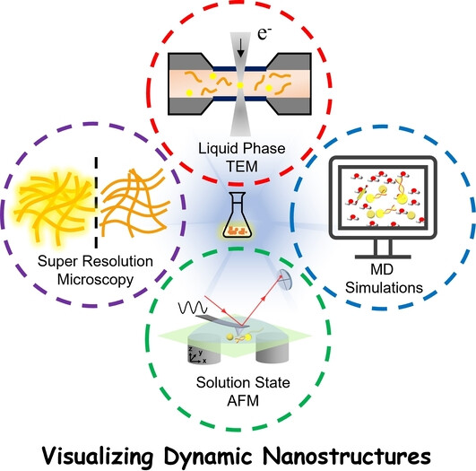 Caught in Action: Visualizing Dynamic Nanostructures Within Supramolecular Systems Chemistry