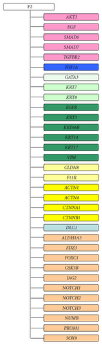 Details are in the caption following the image
