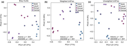 Bacterial communities in the solid, liquid, dorsal, and ventral epithelium fractions of yak (Bos grunniens) rumen