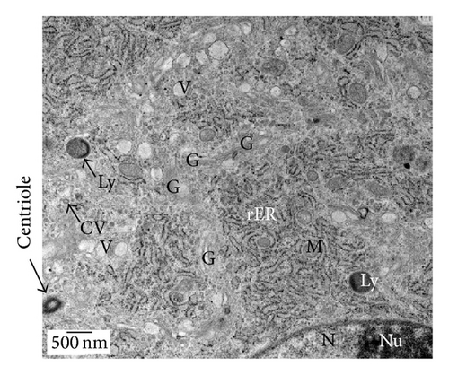 Details are in the caption following the image