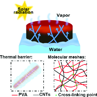 Salt-Resistant Carbon Nanotubes/Polyvinyl Alcohol Hybrid Gels with Tunable Water Transport for High-Efficiency and Long-Term Solar Steam Generation
