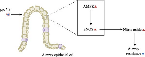 Details are in the caption following the image