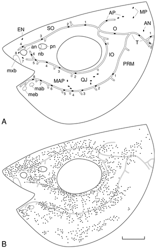 Details are in the caption following the image