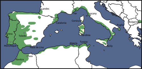 Details are in the caption following the image Details are in the caption following the image