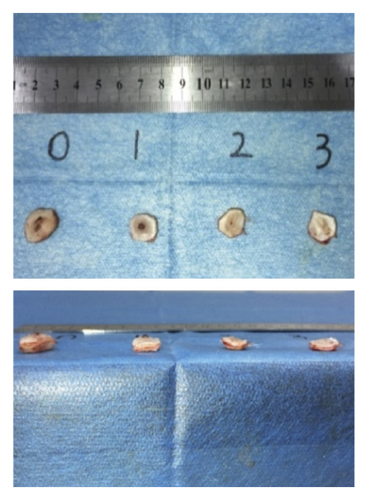 Details are in the caption following the image Details are in the caption following the image