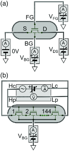 Details are in the caption following the image