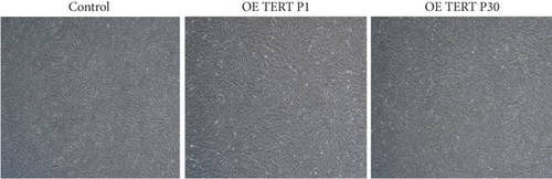 Details are in the caption following the image