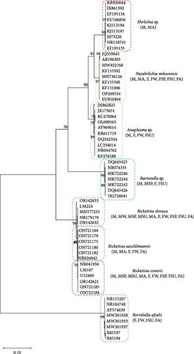 Details are in the caption following the image Details are in the caption following the image
