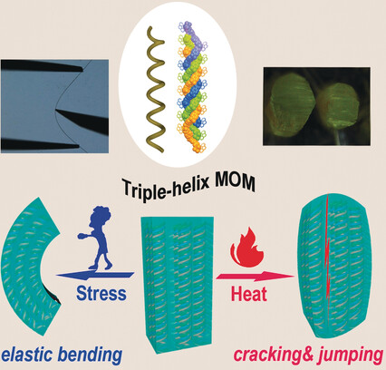 Molecular Spring-like Triple-Helix Coordination Polymers as Dual-Stress and Thermally Responsive Crystalline Metal–Organic Materials