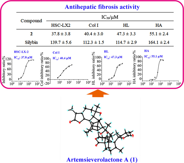 Artemsieverolactones A—H, Eight Guaiane-Type Sesquiterpenoid Trimers from Artemisia sieversiana