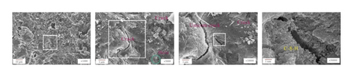 Details are in the caption following the image Details are in the caption following the image
