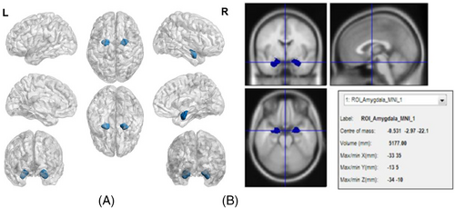 Details are in the caption following the image Details are in the caption following the image